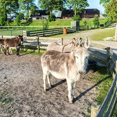 فندق Boerderij De Zellebergen 3*